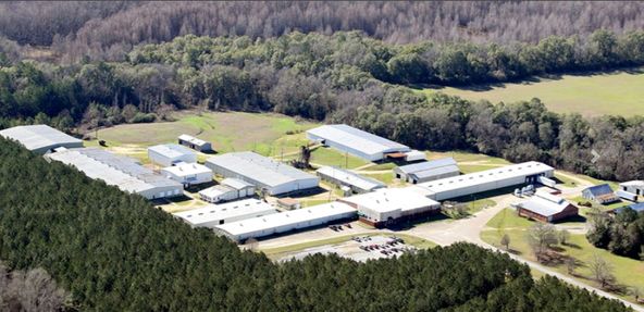 Crystal Lake: 2225 Highway 14 W, Autaugaville, AL 36003